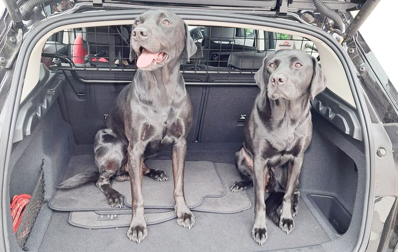 BMW iX1 Bagasjegitter / hundegitter