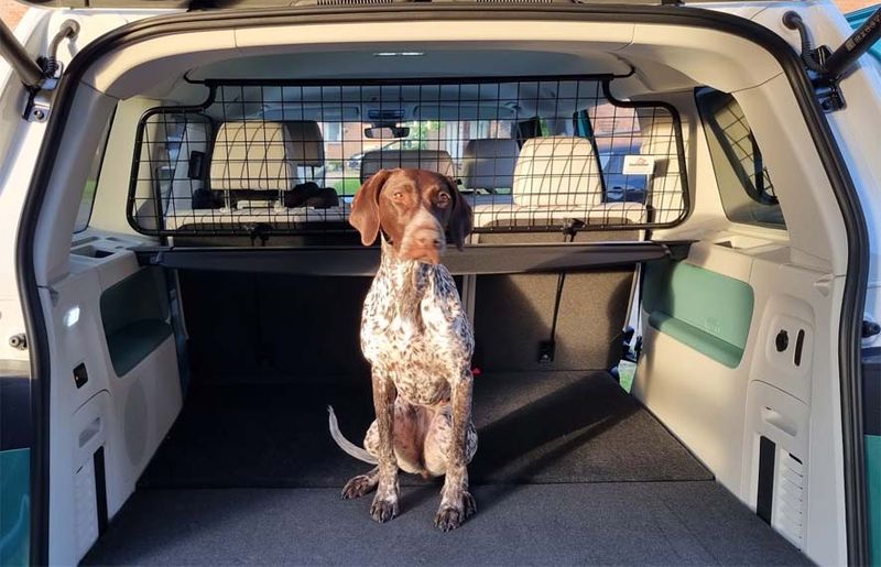 Hundegitter / bagasjegitter ID.Buzz (5-seter)