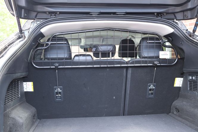 Main Image Dog Guard Ford Mach-e