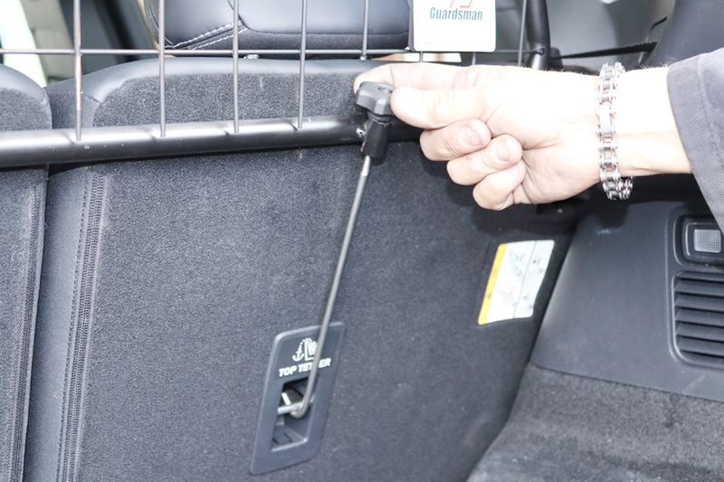 Dog guard and divider - Ford Mach-e